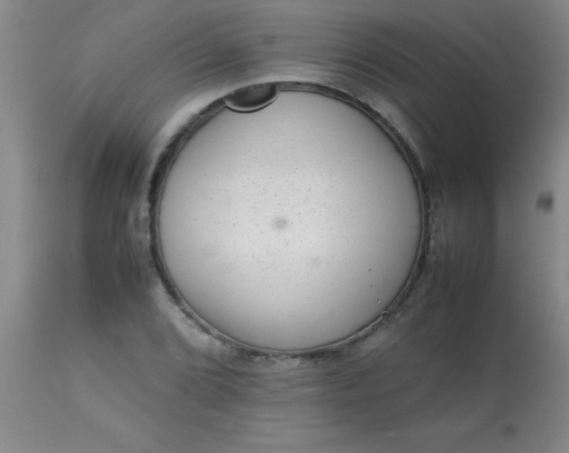 X0000113641072200910021911