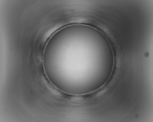 X0000113641073200910021911