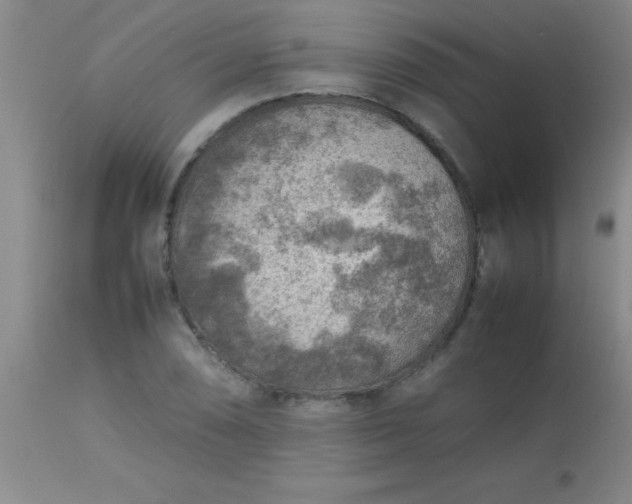 X0000113641074200910021911