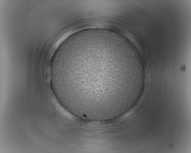 X0000113641075200910021911