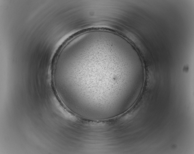 X0000113641076200910021911