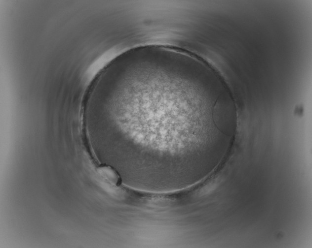 X0000113641077200910021911