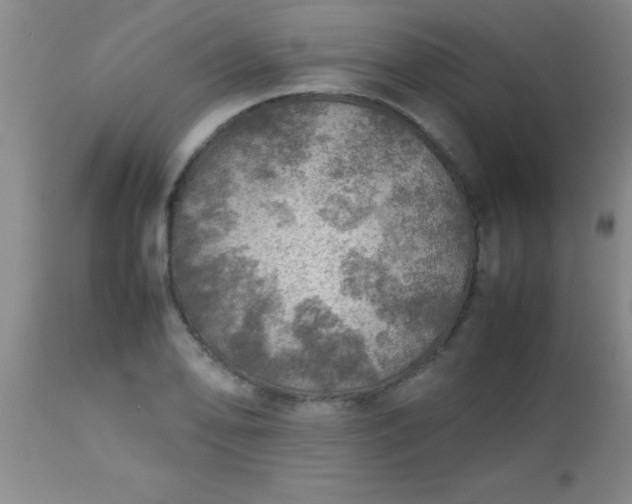 X0000113641078200910021911