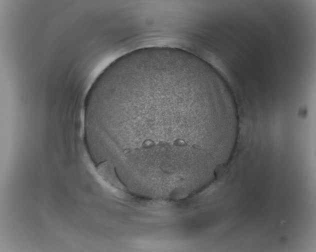 X0000113641079200910021911