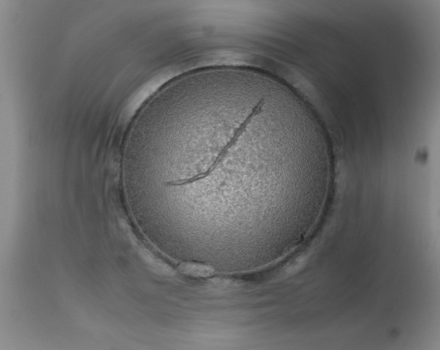 X0000113641081200910021911