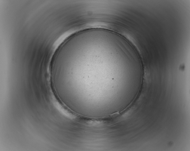 X0000113641082200910021911