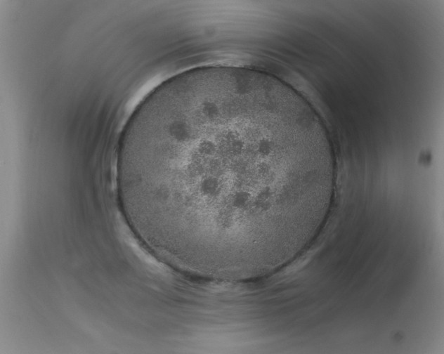 X0000113641083200910021911