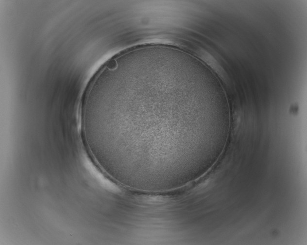 X0000113641084200910021911