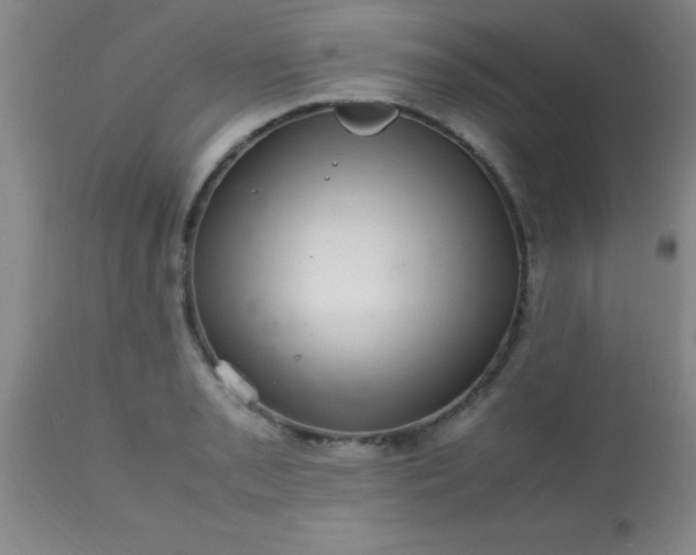 X0000113641085200910021911