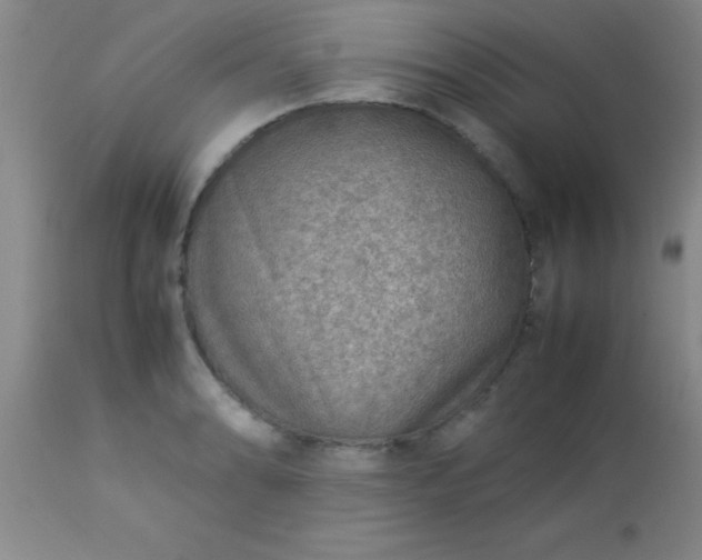 X0000113641086200910021911