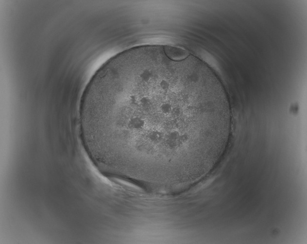 X0000113641087200910021911