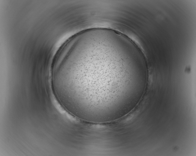 X0000113641088200910021911