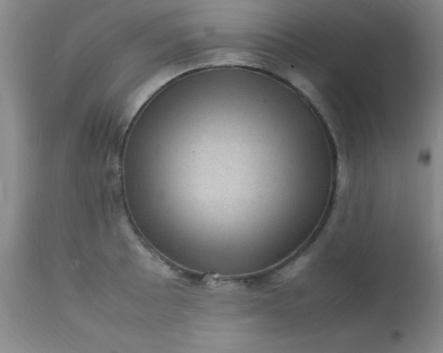 X0000113641089200910021911