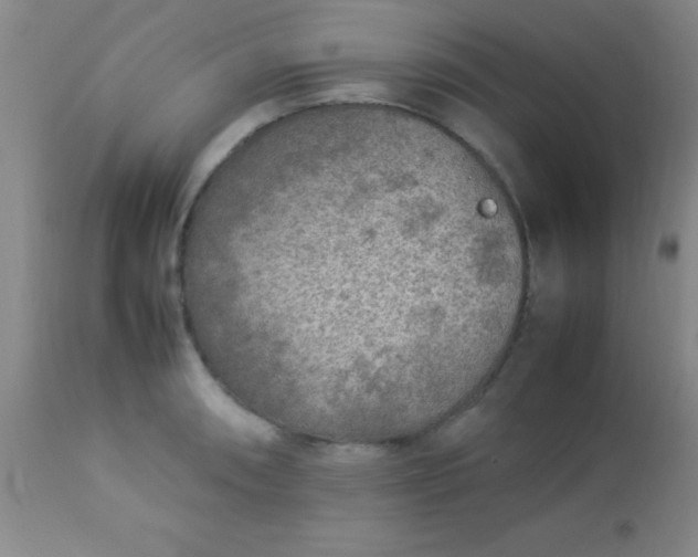 X0000113641090200910021911