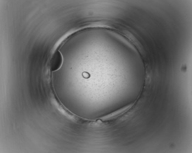 X0000113641092200910021911