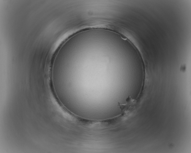 X0000113641093200910021911