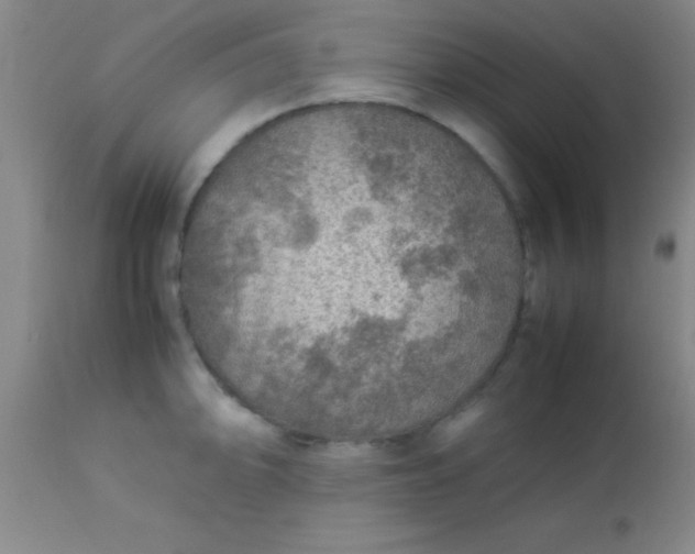 X0000113641094200910021911