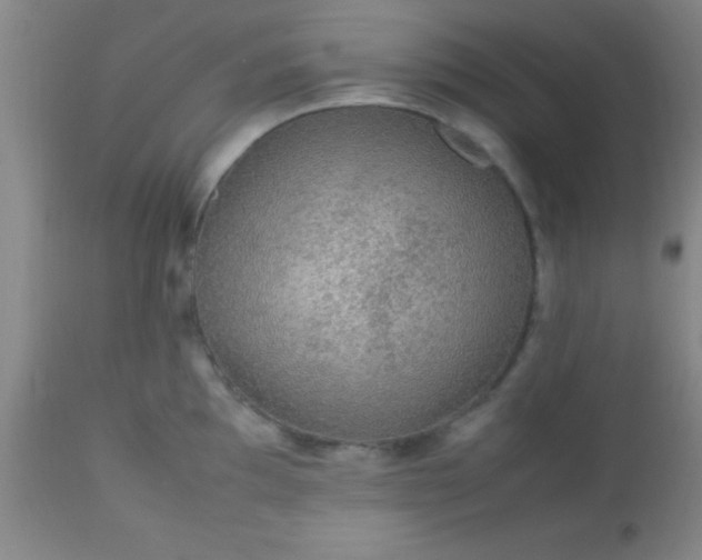 X0000113641097200910021911