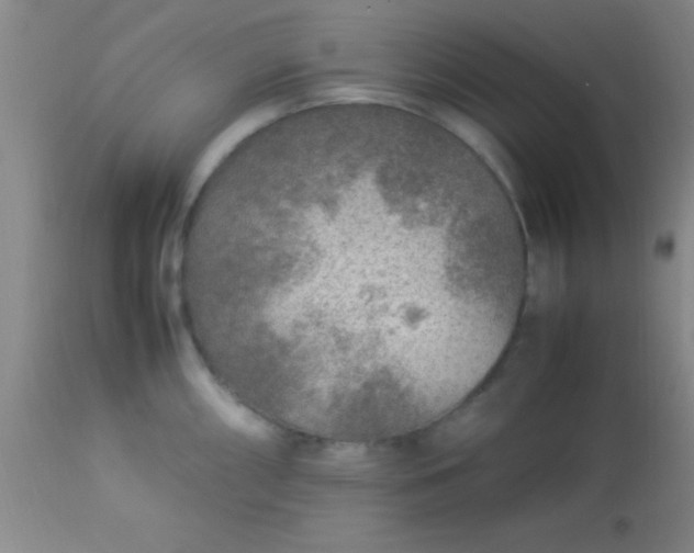 X0000113641098200910021911