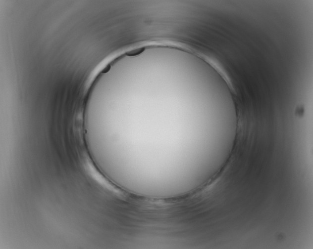 X0000113641100200910021911