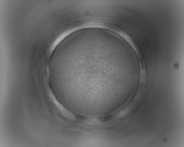 X0000113641101200910021911