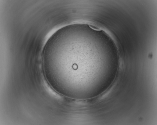 X0000113641102200910021910