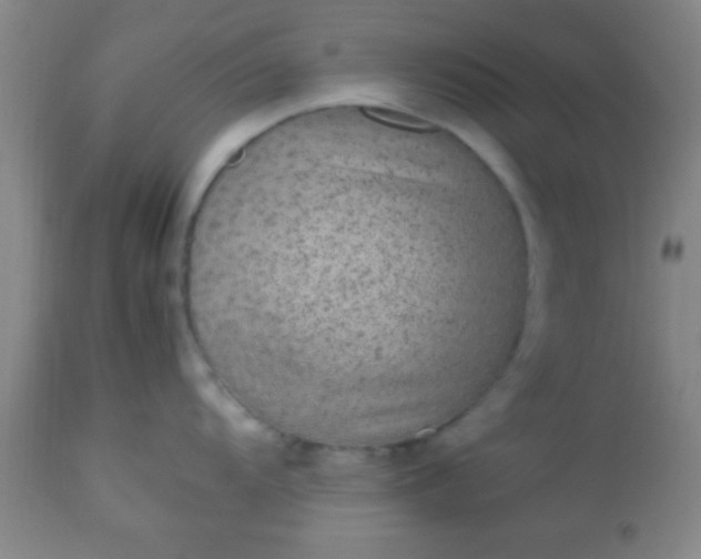 X0000113641104200910021910