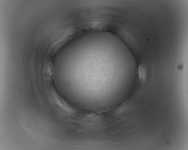 X0000113641107200910021909