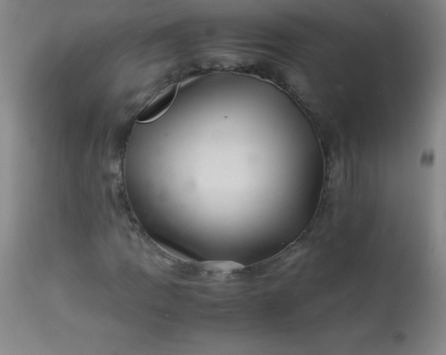 X0000113641109200910021910