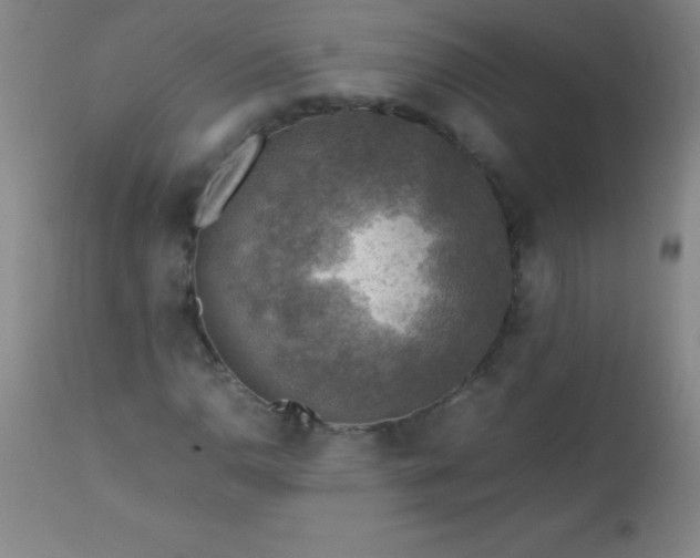 X0000113641110200910021910