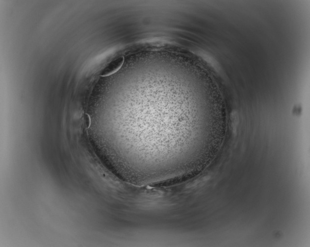 X0000113641111200910021910