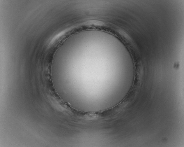 X0000113641112200910021910