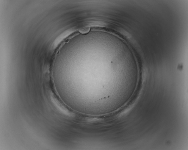 X0000113641113200910021910