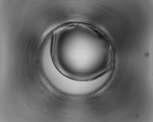 X0000113641114200910021910