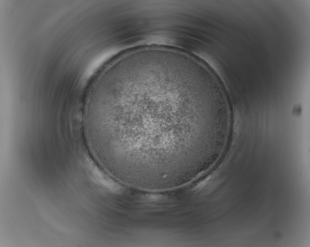 X0000113641115200910021910