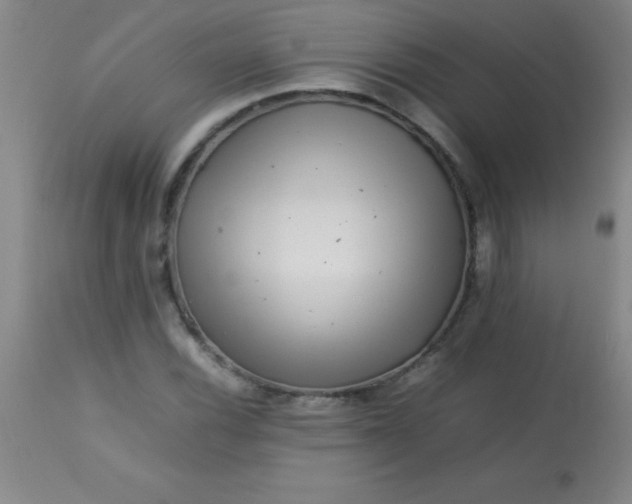 X0000113641116200910021910