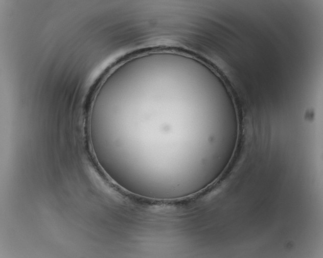 X0000113641118200910021910