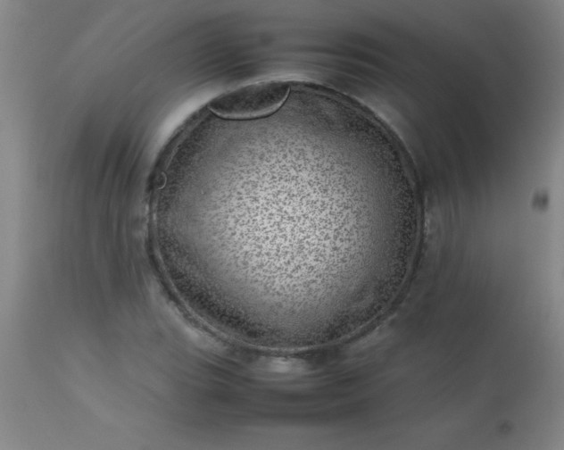 X0000113641119200910021910