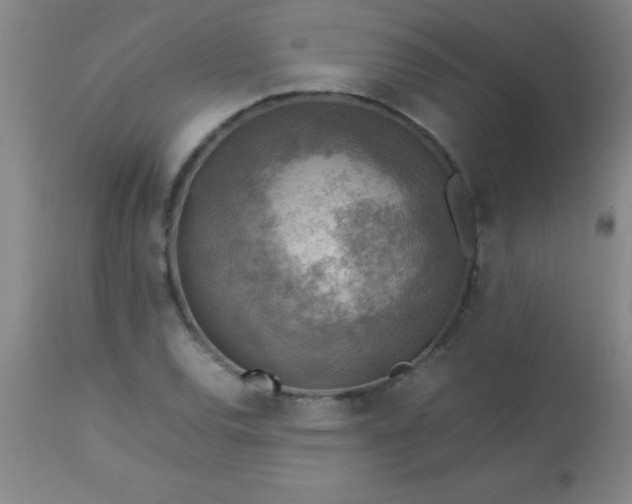 X0000113641120200910021910