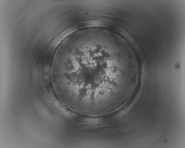 X0000113641121200910021910