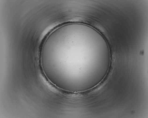 X0000113641122200910021910