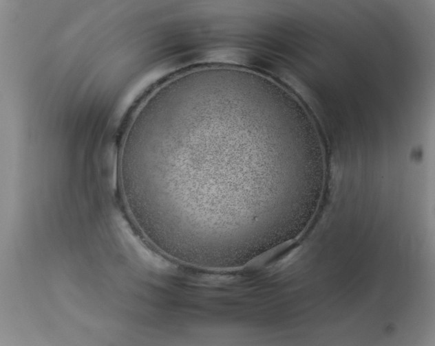 X0000113641123200910021910