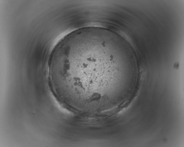 X0000113641125200910021910