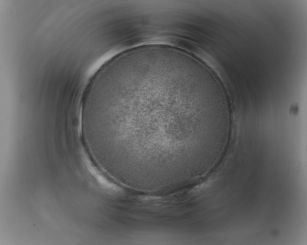 X0000113641127200910021910