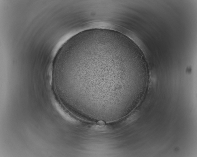 X0000113641128200910021910