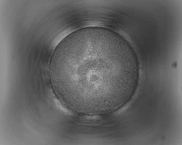 X0000113641129200910021910