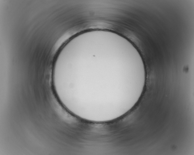 X0000113641130200910021910