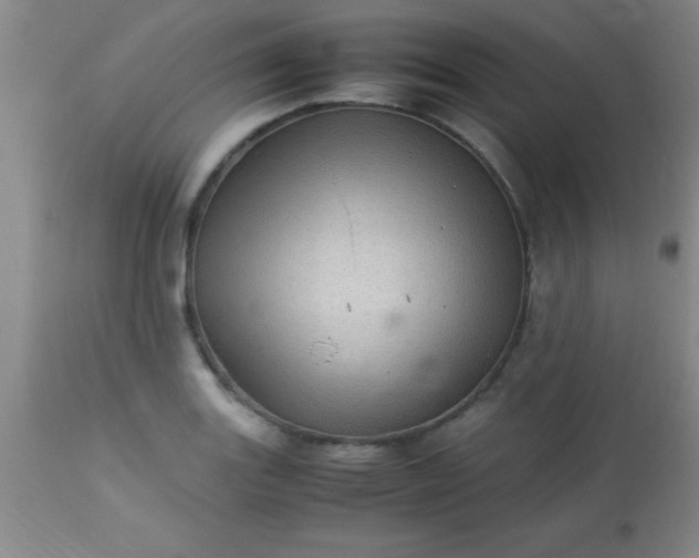 X0000113641131200910021910