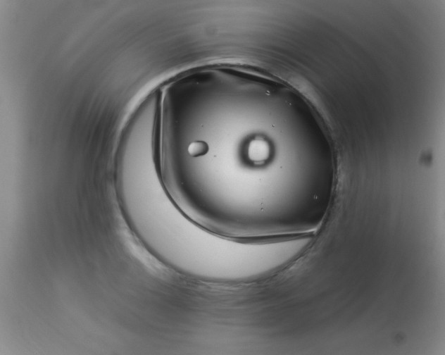 X0000113641132200910021910