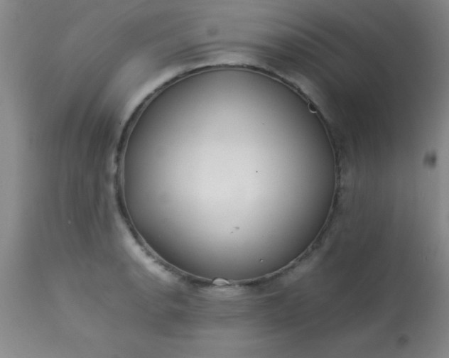 X0000113641134200910021910